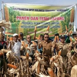 BPTP Sultra