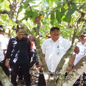 BPTP Sultra