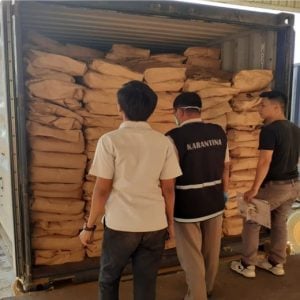 Perdana, Kakao Cake Sultra Tembus Negeri Matador 1