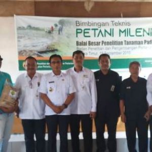 BPTP Sultra