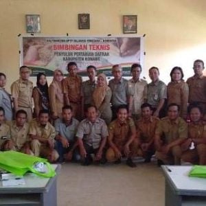 BPTP Sultra